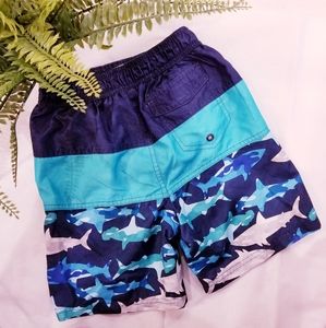 Boys swim shorts, multi-blue, size 5/6